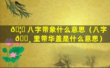 🦆 八字带象什么意思（八字 🕸 里带华盖是什么意思）